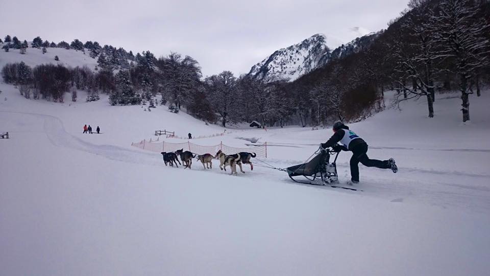 LINZA, SEDE DEL CAMPEONATO  NAVARRO Y VASCO DE MUSHING