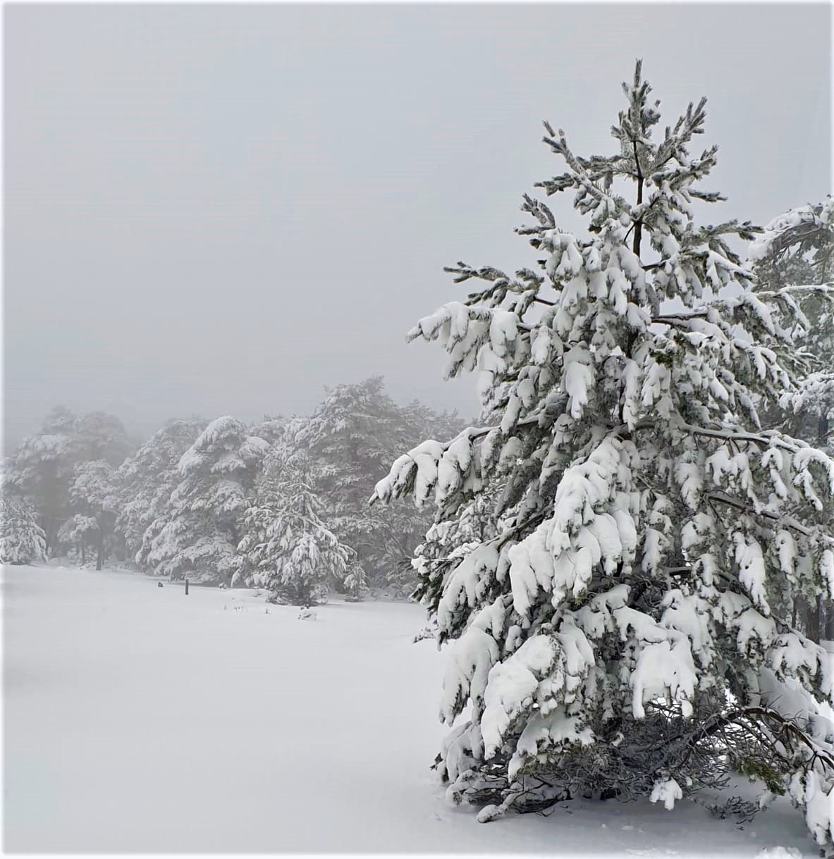 La Muela inaugura la temporada  gracias a las nevadas recibidas