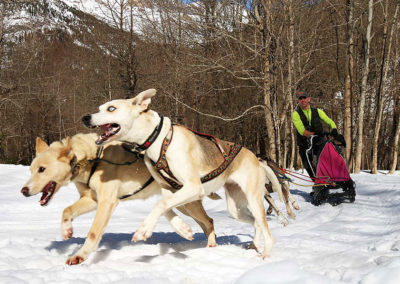 Mushing