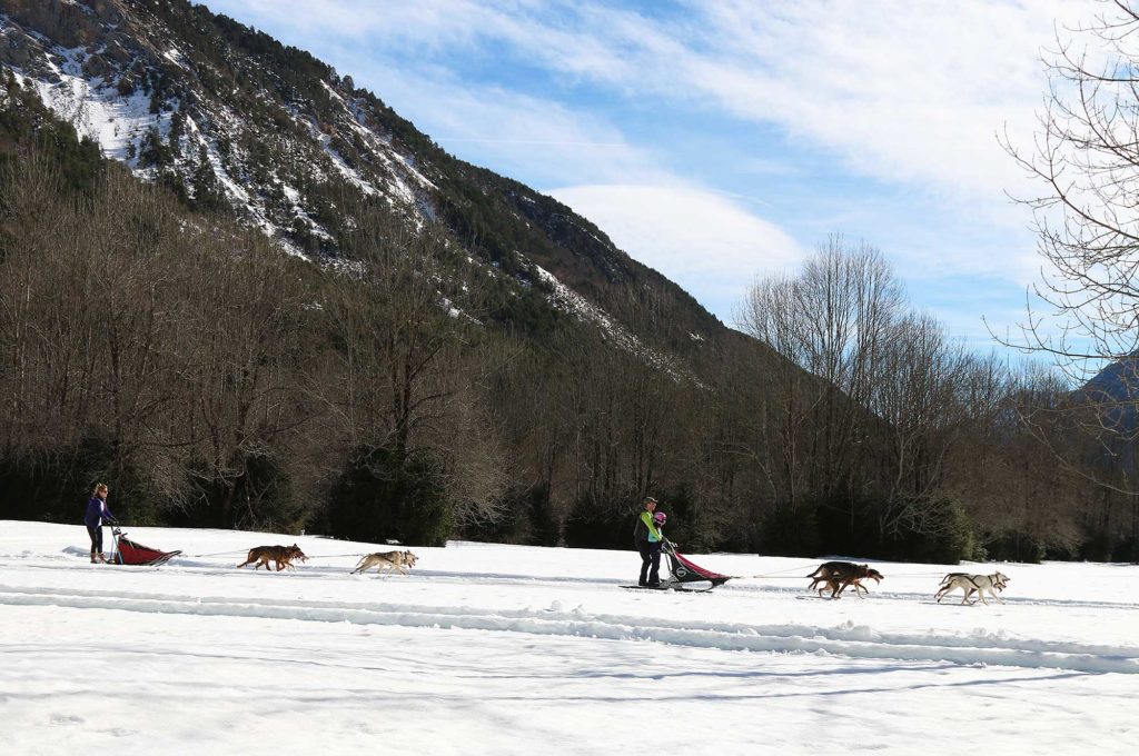 Mushing Espacio nórdico Pineta