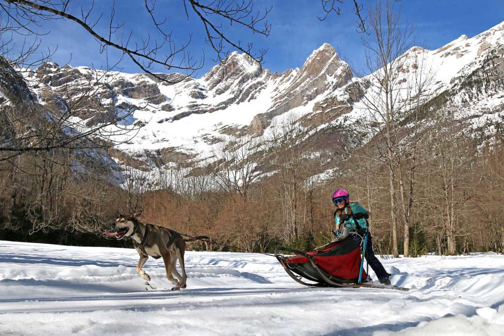 Mushing Espacio nórdico Pineta