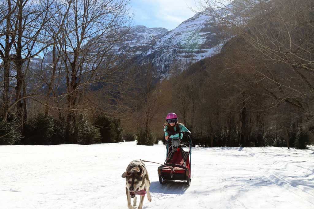 Mushing Espacio nórdico Pineta