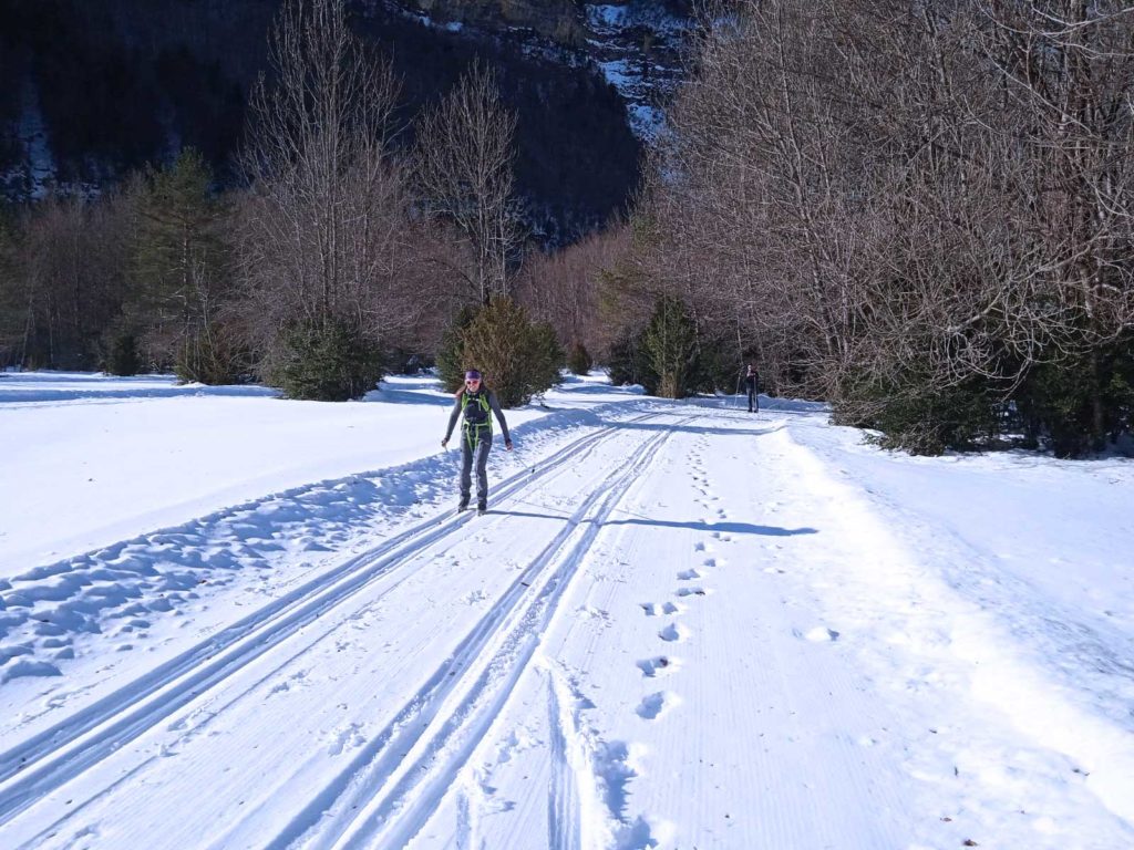 Espacio nórdico Pineta