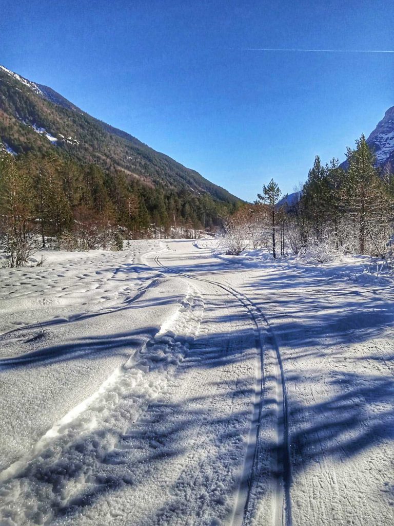 Esquí de fondo - nórdico Espacio nórdico Pineta